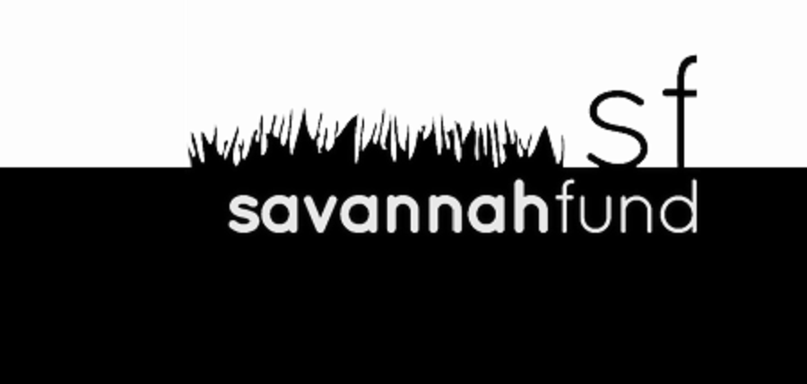 Savannah Fund Secures $23m Seed and Series A Fund for African Startups
