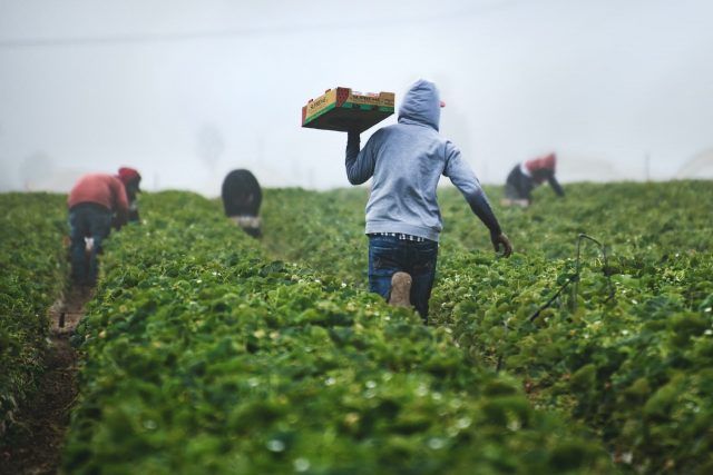 Bopinc and Village Capital set to launch First Circular Agribusiness Accelerator in East Africa