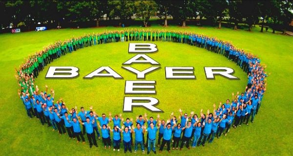 African startups can apply for support from Bayer Foundation