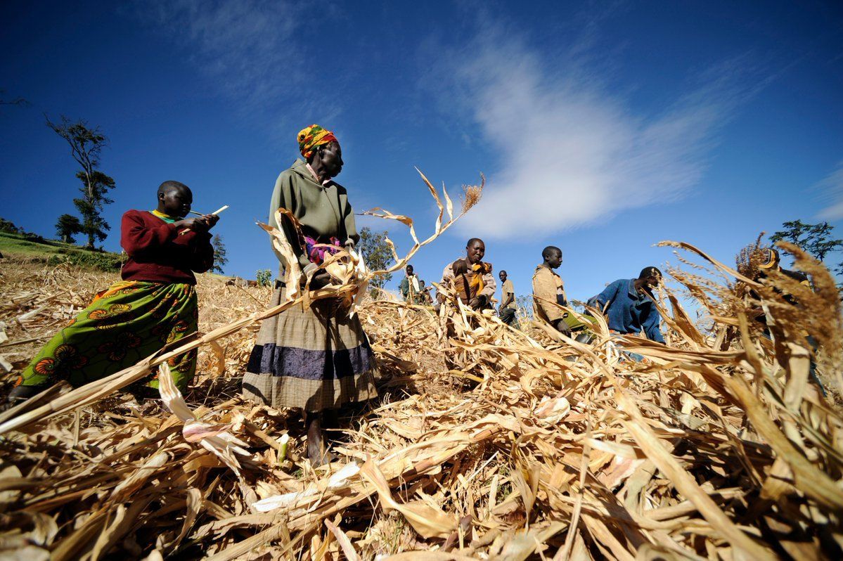 African Startups can apply for UN WFP Innovation Challenge 2021