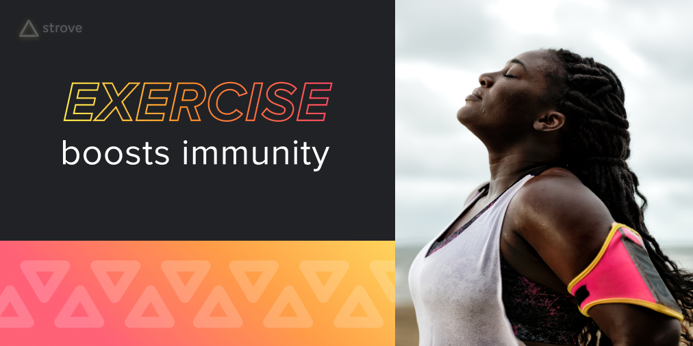 South African Wellness app Strove raises $270k in Seed funding