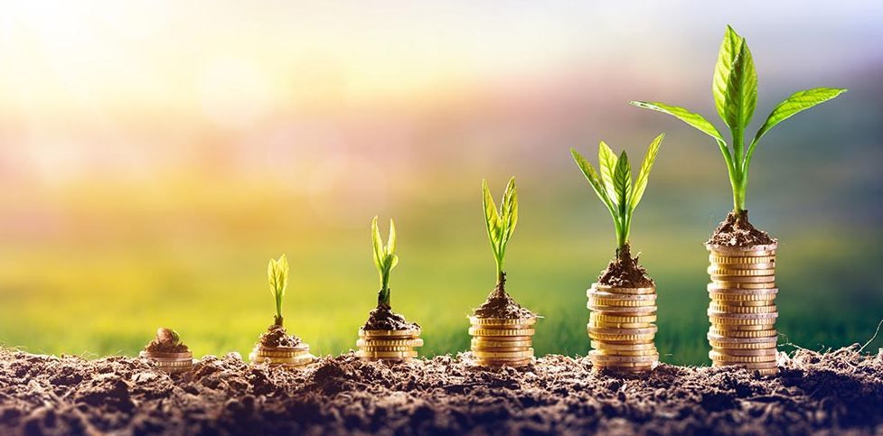 Seed Fund: A Necessary Hurdle for Startups