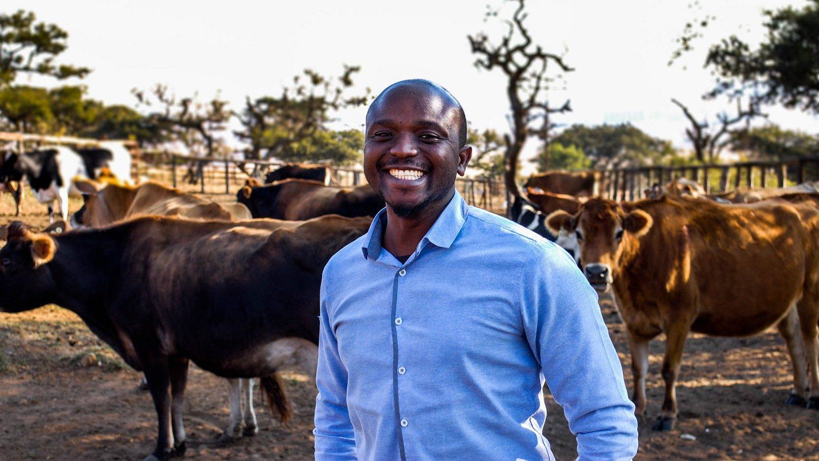 South African Crowd-Farming Startup Livestock Wealth Raises $550k Funding Round