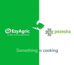EzyAgric Partners with Pezesha To Launch BNPL In Uganda