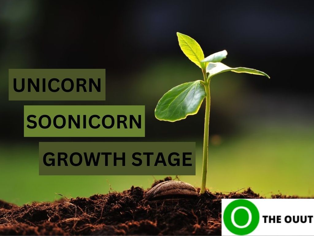 Growth Stage, Soonicorn, Unicorn. What Stage is Your Favorite Startup in?