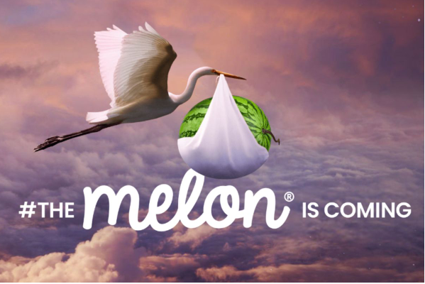 Why Melon Mobile Can Expand Connectivity in South Africa