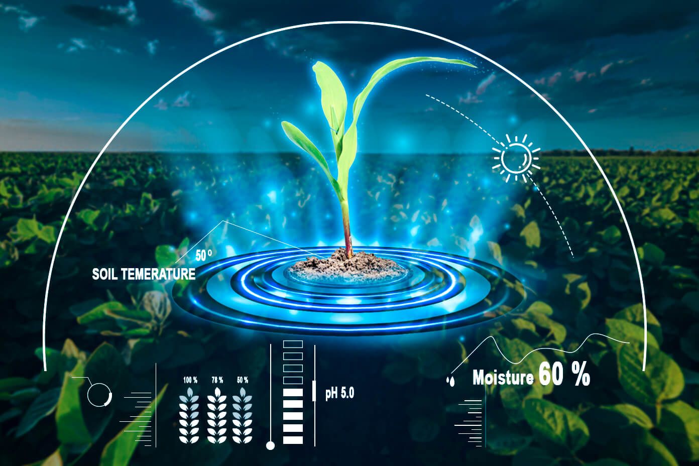 Food Crisis and Biotech to the Rescue