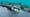 Liquid Intelligent Technologies Connects Mauritius, South Africa with T3 Subsea Cable Installation
