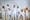 ​AltSchool Africa Launches New Schools To Upskill Africans In Ceative And Bsiness Industries