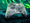 Xbox launches Family Settings App to manage underage Gaming.