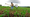 Nigerian Agri-tech startups can apply for $3m COVID-19 Food Security Challenge