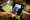 Nedbank, two other SA Banks launch Apple Pay for users