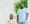 Float Acquires Accounteer To Scale New Markets