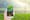 How Agritech can Curb Food Loss in Africa