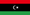 Top Libyan Startups; PTSD Yet Striving