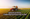 Agritech Activities; Combating Food Insecurity In UAE