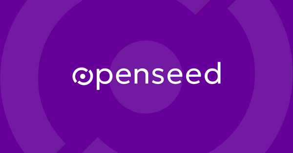Africa: OpenseedVC secures $10 Million fund for early-stage startups