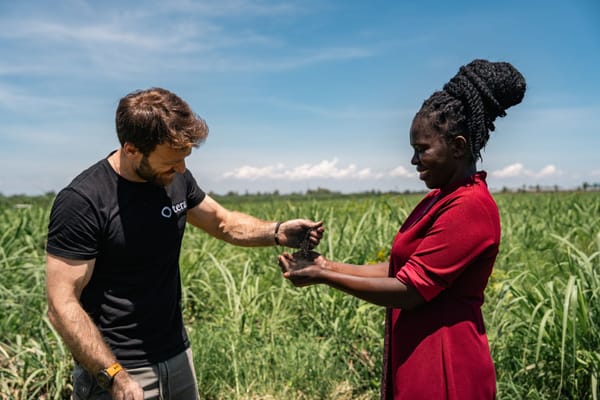 Kenyan Climate Tech Startup Tera Secures Validation for Carbon Credit Issuance