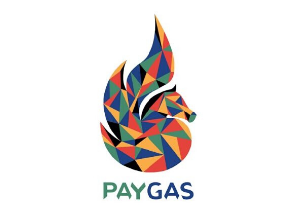 PayGas, South African energy startup, teams up with Afrox to install 52 Pay-as-you-gas stations in SA