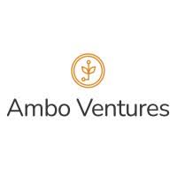 Pan-African VC Firm, Ambo Ventures, Launches $50m Fund for Africa Startups