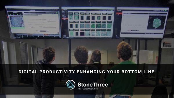 South African Data Startup Stone Three raises expansion funding