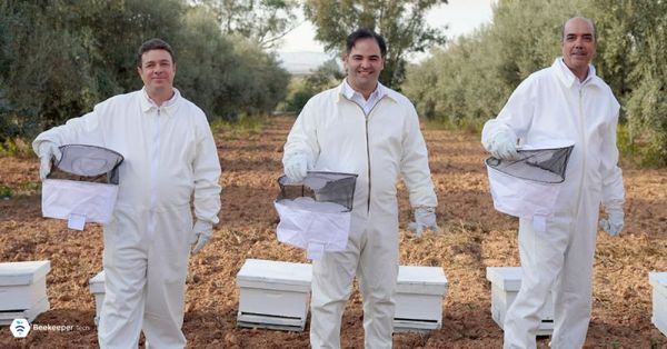 Tunisian Startup, Beekeeper Tech, Secures $640, 000 Seed Funding For Expansion