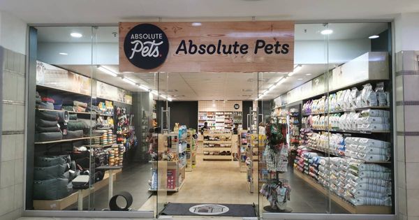 Absolute Pets Launches Go Fetch Service to Drive Pet Adoption in Africa