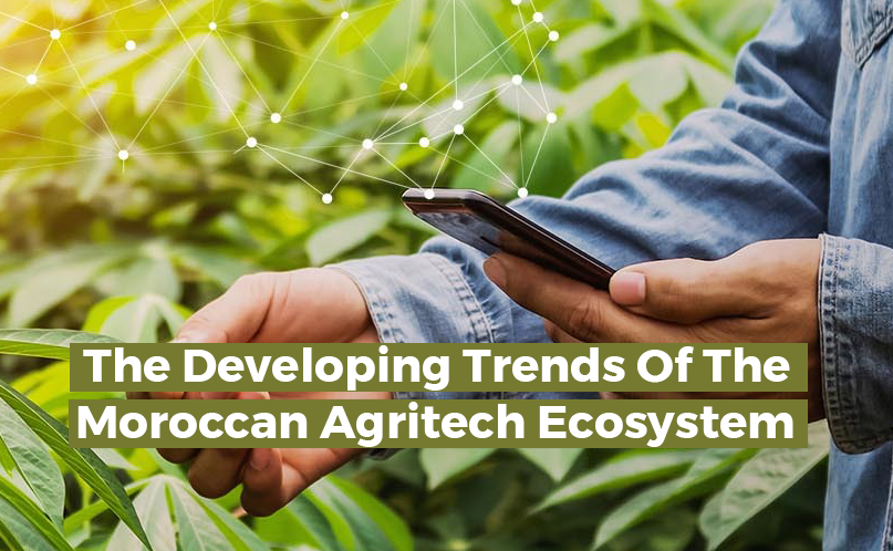 The Developing Trends Of The Moroccan Agritech Ecosystem